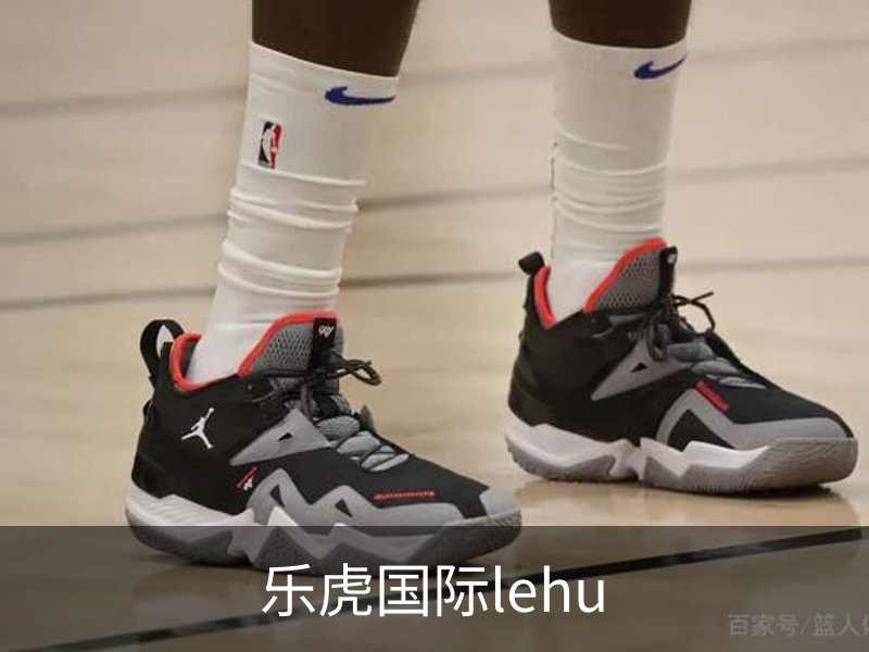 乐虎国际lehu介绍